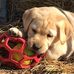 Dorothy DeJong - Facebook