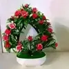 dorothydevy - @dorothydevy - TikTok