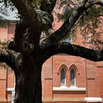 Dorothy Deville - @ddpineville - Instagram