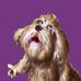 Dorothy Dewar - Facebook