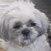 Dottie Dibble - Facebook