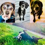 Dorothy Dolan McGinley - @dotsy48 - Instagram
