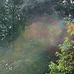 Dorothy A Dooley - @dot082000 - Instagram