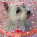 Dorothy Dooley - Facebook