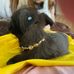 Dorothy Dooley - Facebook