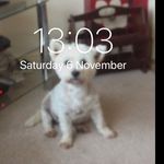 Dorothy Dooley - @buggeryou - Instagram