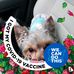 Dotty Dooley - Facebook