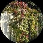Dorothy  Drum Pritchad - @pritchad_dorothy - Instagram