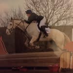 Dorothy - @dorothyduffymunnelly - Instagram