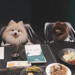 Dustin and Dorothy🐻‍❄️🐻 - @dustinanddorothy - Instagram