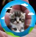 Dorothy Easterling - Facebook