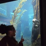 Dorothy Echols - @wild_hearted_vet - Instagram