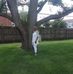 Dorothy Echols - Facebook