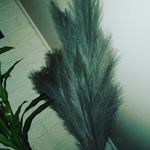 khandy Dorothy joan egan - @khandydorothy - Instagram