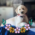 Dorothy Sloan Eldridge - @deldridge7865 - Instagram
