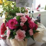 Dorothy Feldmann - @feldmanndorothy - Instagram