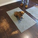 Dorothy Ferrell - @dorothy.ferrell.125 - Instagram
