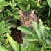 Dorothy Ferrell Heck - Facebook