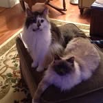 Dorothy Flach-Mulvahill - @flachmulvahill - Instagram