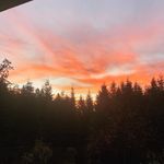 Dorothy Forrest - @mustard.seed.family - Instagram