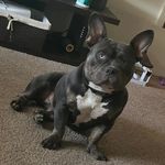 Dorothy Forrest - @doris_1019 - Instagram
