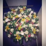 Dorothy Glover - @dorothyglover4498 - Instagram