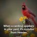 Dorothy Goetzelman - Facebook