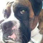 Dorothy Goldstein - @dorothygoldstein - Instagram