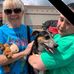 Dorothy Goldstein - Facebook