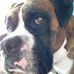 Dorothy Goldstein - Facebook