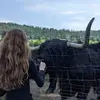 Dorothy - @dorothygood92 - TikTok