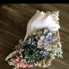Dorothy Goodpaster - @dorothy.goodpaste - TikTok