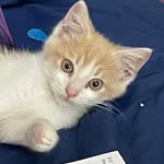 Dorothy Grayson - @dorothygrayson45 - Instagram