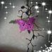 Dorothy Grubb - Facebook