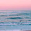 Dorothy Grubb - @dorothygrubb25 - TikTok