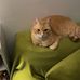 Dorothy Grubb - Facebook