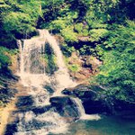 Dorthy Grubb - @allisocialalli - Instagram
