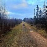 Dorothy Haley - @dorothyehaley - Instagram