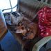 Dorothy Hamilton - Facebook