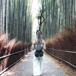 Dorothy Hamilton - @dorothy_hamiltond_6382 - Instagram