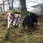 Dorothy Hearn - @hearn9495 - Instagram