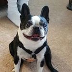 Dorothy Hein - @heindorothy2 - Instagram