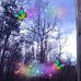 Dorothy Hess - Facebook