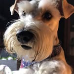 Dorothy Hicks - @dorothy.hicks.75 - Instagram