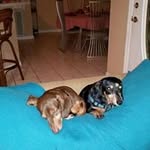 Dorothy Hinkle - @dorothy.hinkle.31 - Instagram