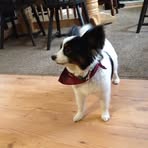 Dorothy Hinkle - Facebook