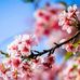 Dorothy Hung - Facebook