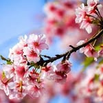 Dorothy Hung - @zhen070625 - Instagram
