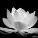 Dot Vu Hung - Facebook