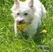 Dorothy Hutton - Facebook
